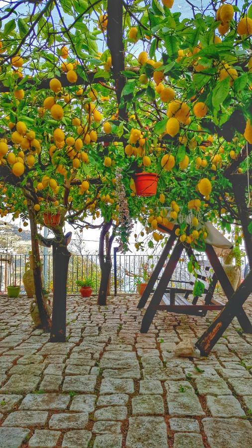Villa Il Limoneto Degli Angeli Minori Exterior foto
