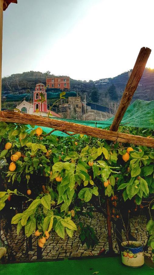 Villa Il Limoneto Degli Angeli Minori Exterior foto