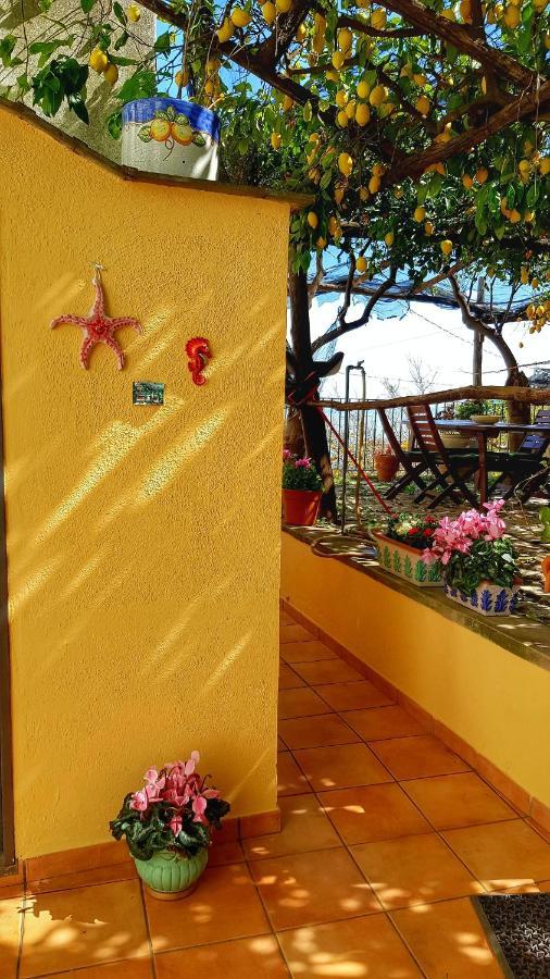 Villa Il Limoneto Degli Angeli Minori Exterior foto