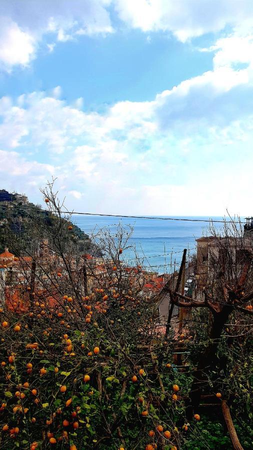 Villa Il Limoneto Degli Angeli Minori Exterior foto