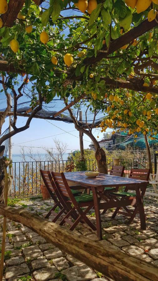 Villa Il Limoneto Degli Angeli Minori Exterior foto