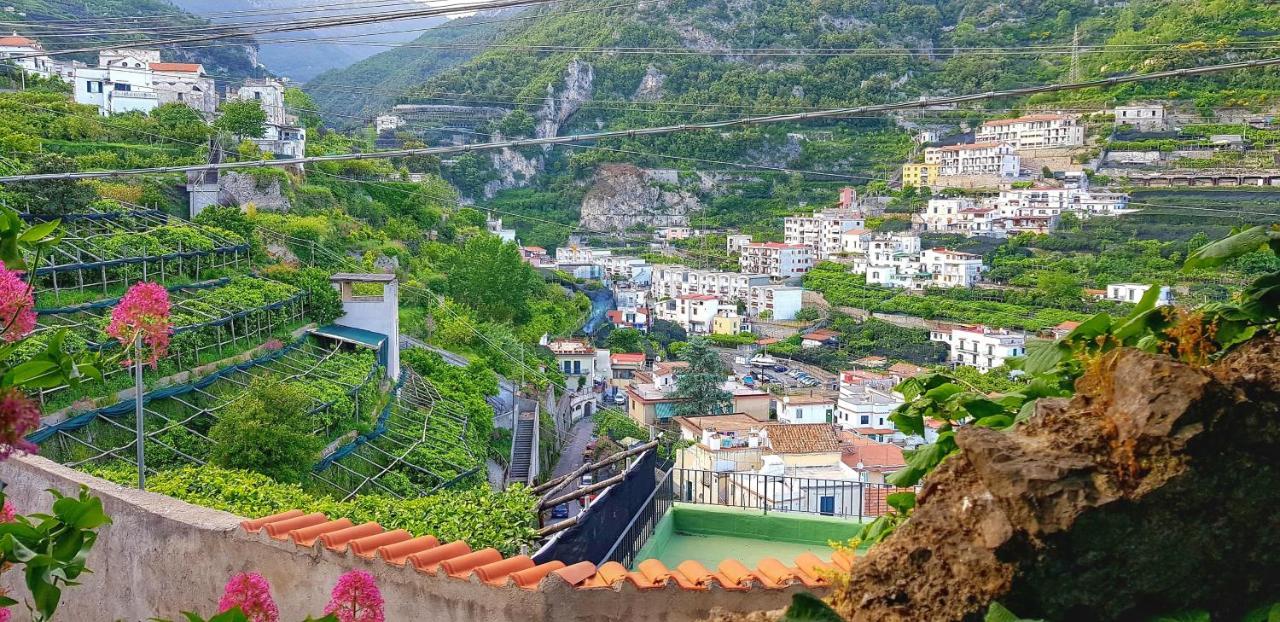 Villa Il Limoneto Degli Angeli Minori Exterior foto