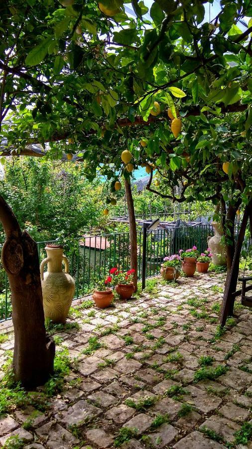 Villa Il Limoneto Degli Angeli Minori Exterior foto